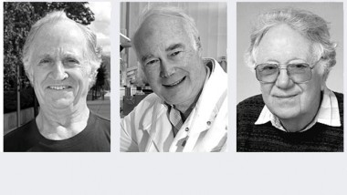 2007 Nobel Prize in Medicine