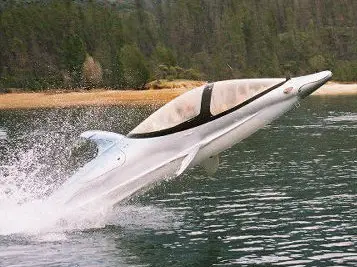 Dolphin-watercraft_large.jpg