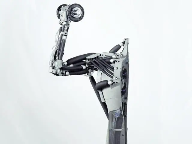 Festo-Bionic-Arm_large.jpg