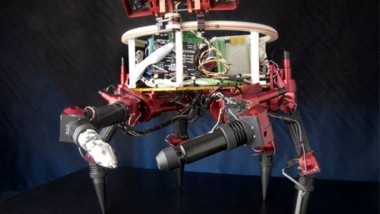 Lemur – Pet Robot Assisting In Space