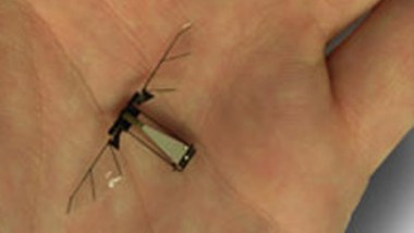 Robotic Fly Takes Off