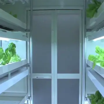 New: a Personal Vegetable Factory