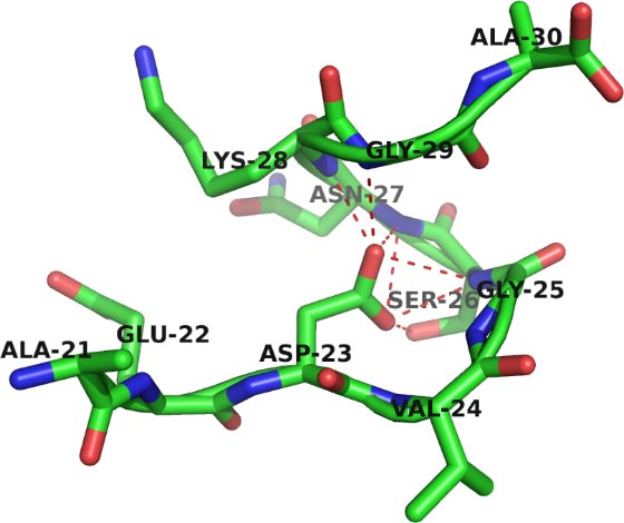 amyloid-protein-loop.jpg