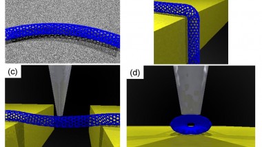 Carbon Nanotubes for Chemical Detection