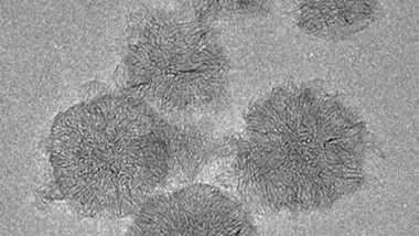Nanohorns Will Store Hydrogen