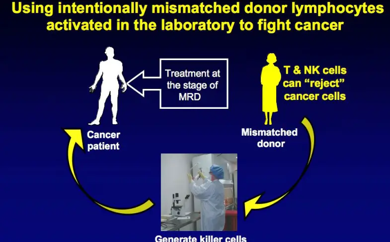donor-lymphocyte-infusion.jpg