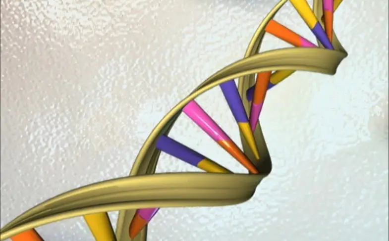 double-helix-dna_large.jpg