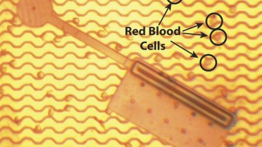 Nanosoccer – a Match under the Microscope