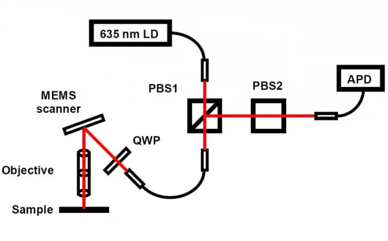 schematic-diagram-of-the-si.jpg