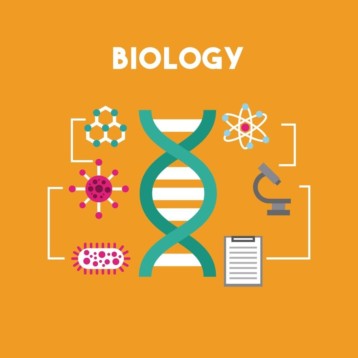 5 Steps To Succeed In Writing a Biology Research Paper