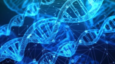Lessons Tech Startups Can Learn From DNA Testing Kit Companies