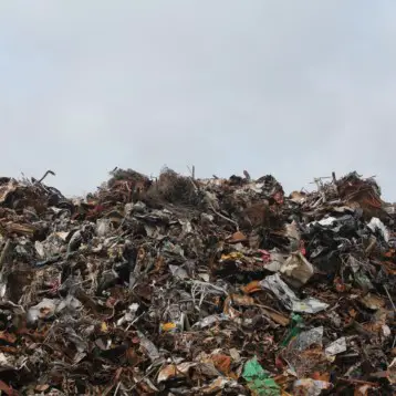 Robots in Waste Management: What is There to Know?  