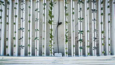 Is Vertical Farming Cost Effective?