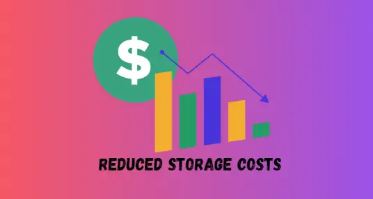 Reduced Storage Costs: