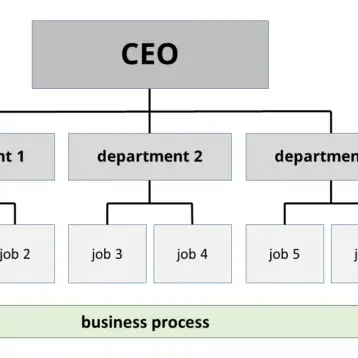 Beyond Hierarchies: Exploring Different Types of Organizational Charts for Diverse Business Models