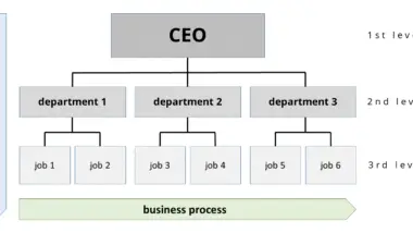 Beyond Hierarchies: Exploring Different Types of Organizational Charts for Diverse Business Models
