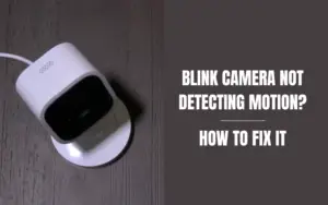 Blink Camera Not Detecting Motion? Here's How to Fix It