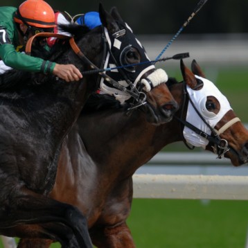 A Beginner’s Guide to Horse Racing