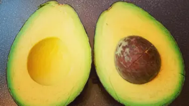 Can My Dog Eat That The Truth About Avocado and Dog Nutrition