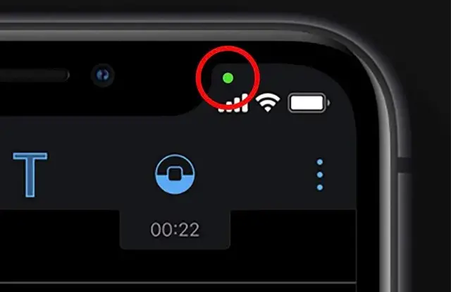 What Does the Green Dot on iPhone Signify