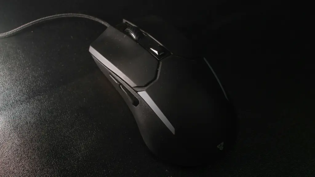 Computer Mouse