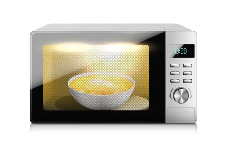 Handbag-Sized Microwave Oven