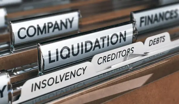 Insolvency and Corporate Liquidation