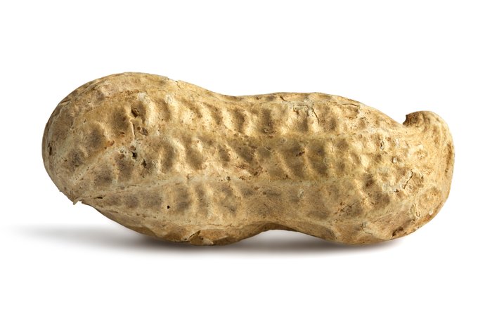 Large Peanut