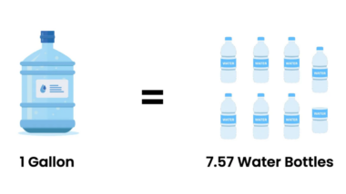 How Many Water Bottles Are in a Gallon