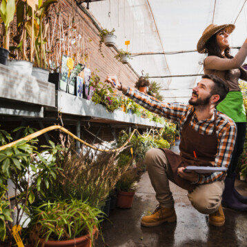 Advanced Tech in Urban Farming Makes Growing Food Closer to Home Possible