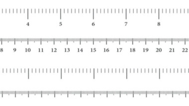How Big is 11 Inches? (9 Common Things That Are 11 Inches Long)