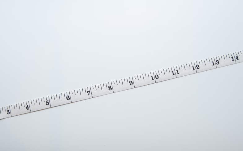 Standard Ruler