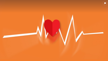 Exploring Careers in Healthcare – A Path to Making a Difference