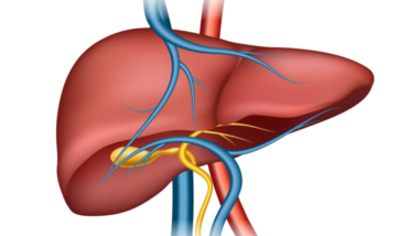Epidemiological Trends in Pancreatic Cancer: Understanding Patterns, Risk Factors, and Population Health Impact