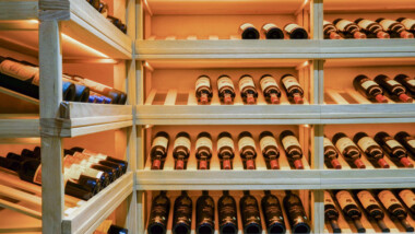 Eco-Tech Meets Elegance: What If Sustainable Wine Refrigeration Became the New Luxury?