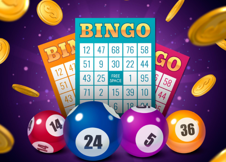 Bingo Gaming