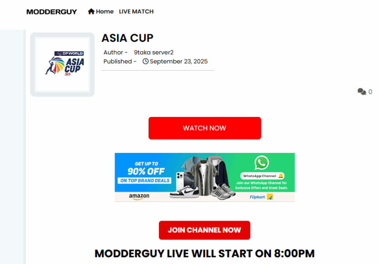 User Experience & Interface