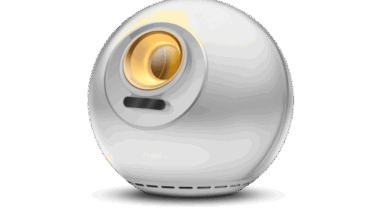 The Need for Human Verification in a Digital World