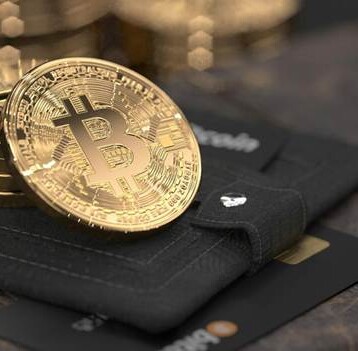 Cryptocurrencies and their fantastic evolution: From one single digital coin to many other alternatives