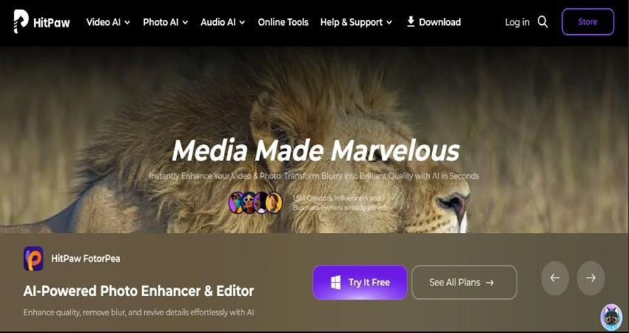 HitPaw Watermark Remover