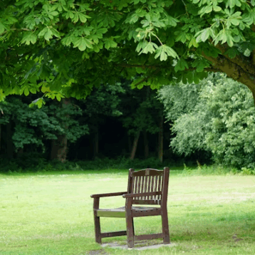 Inpatient Rehab Health Programs: Bridging the Gap to Recovery