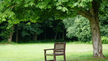 Inpatient Rehab Health Programs: Bridging the Gap to Recovery