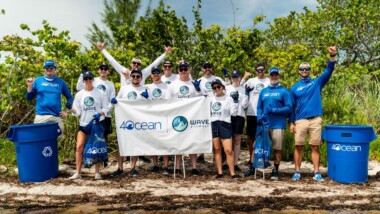 Wave Browser: The Safe, Green Tech Browser Cleaning the Ocean