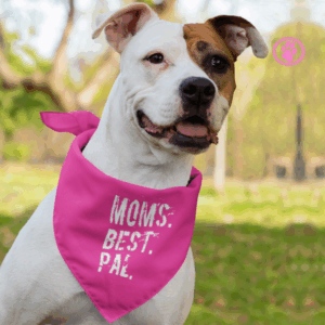 Dog Bandanas