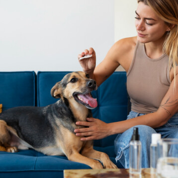 How to Adjust CBD Dosage for Dogs Based on Metabolism, Age, and Activity Level?