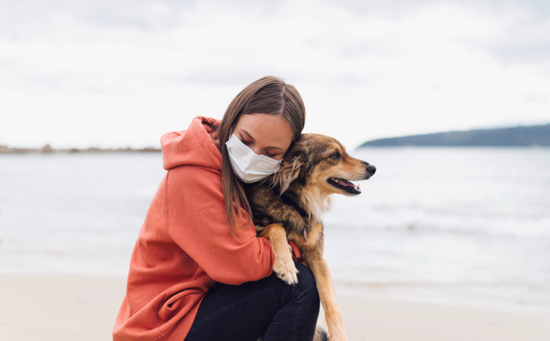 Dog’s Immune System