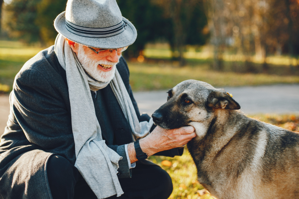 Senior Dog’s 
