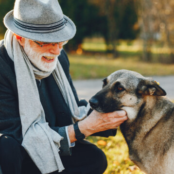 How to Choose a Mushroom Formula Your Senior Dog’s Body Can Actually Use
