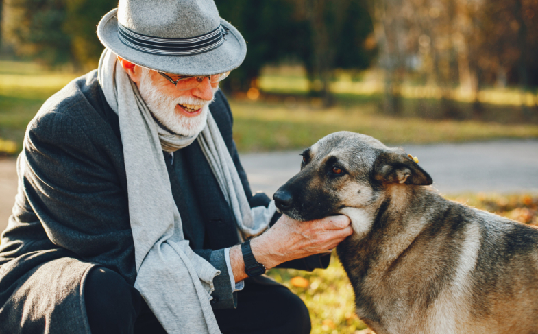 Senior Dog’s