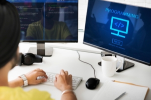 Software Reverse Engineering Services